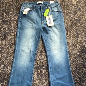 Ladies NWT Wax  Bootcut Jeans Sz 31